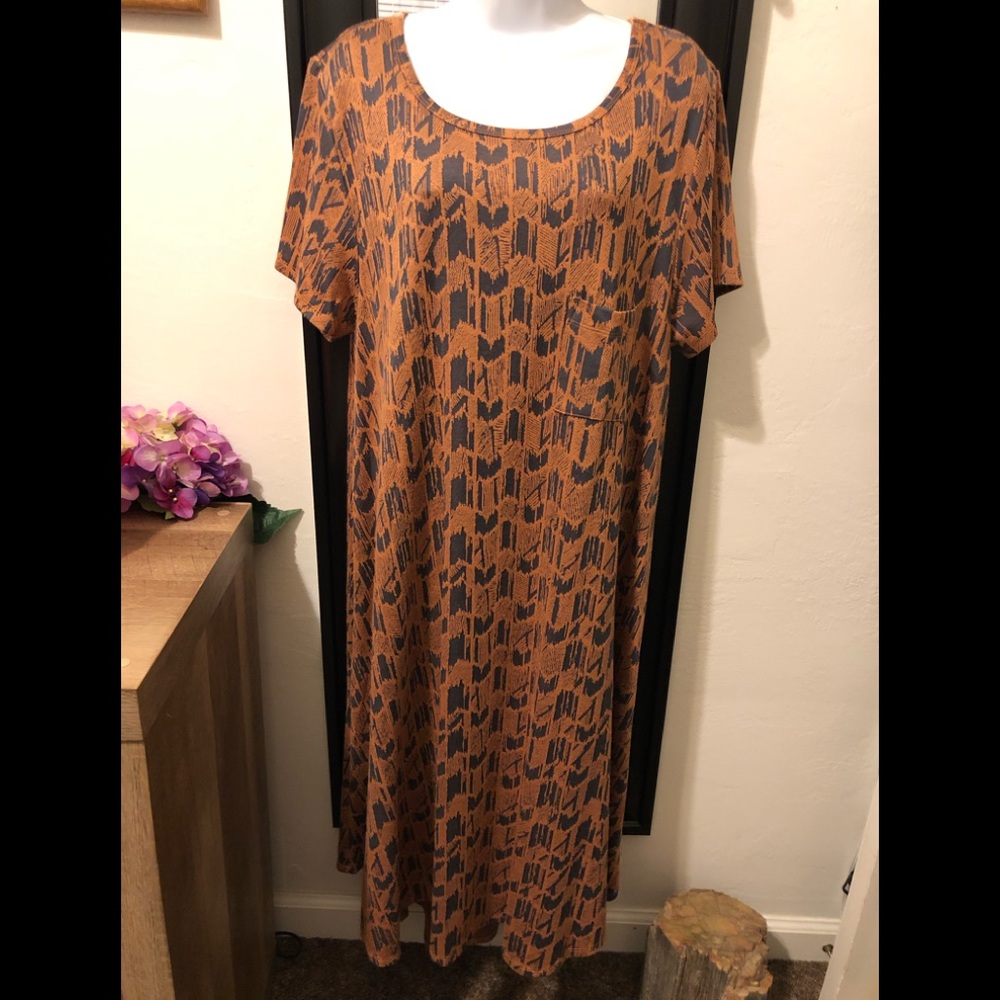 Lularoe Carley. 2x Brown on lite brown.
